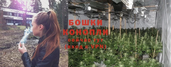 ПСИЛОЦИБИНОВЫЕ ГРИБЫ Нея
