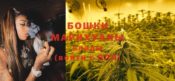 ПСИЛОЦИБИНОВЫЕ ГРИБЫ Нея
