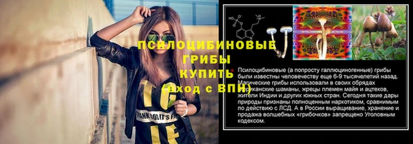 ПСИЛОЦИБИНОВЫЕ ГРИБЫ Нея