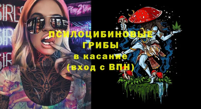 Галлюциногенные грибы Psilocybine cubensis  хочу   Сорочинск 