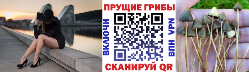 Галлюциногенные грибы прущие грибы  Сорочинск 