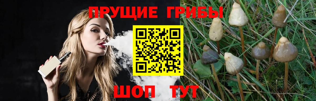 Псилоцибиновые грибы Cubensis Сорочинск